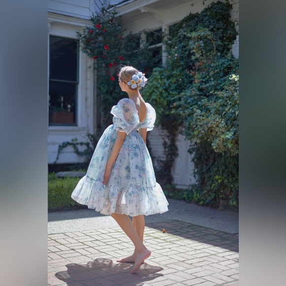 Selkie | French Puff Dress | La Belle Etoile in Organza | Size L | BRAND NEW! - Picture 2 of 3